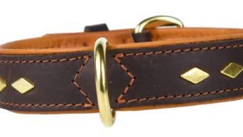 Hundehalsband