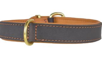 Hundehalsband
